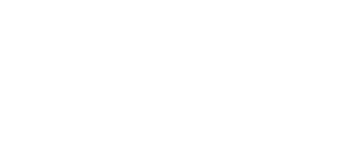MVT Logo